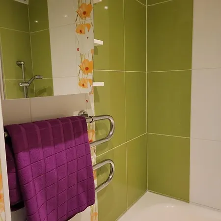 City Apartment Apartment Jelgava